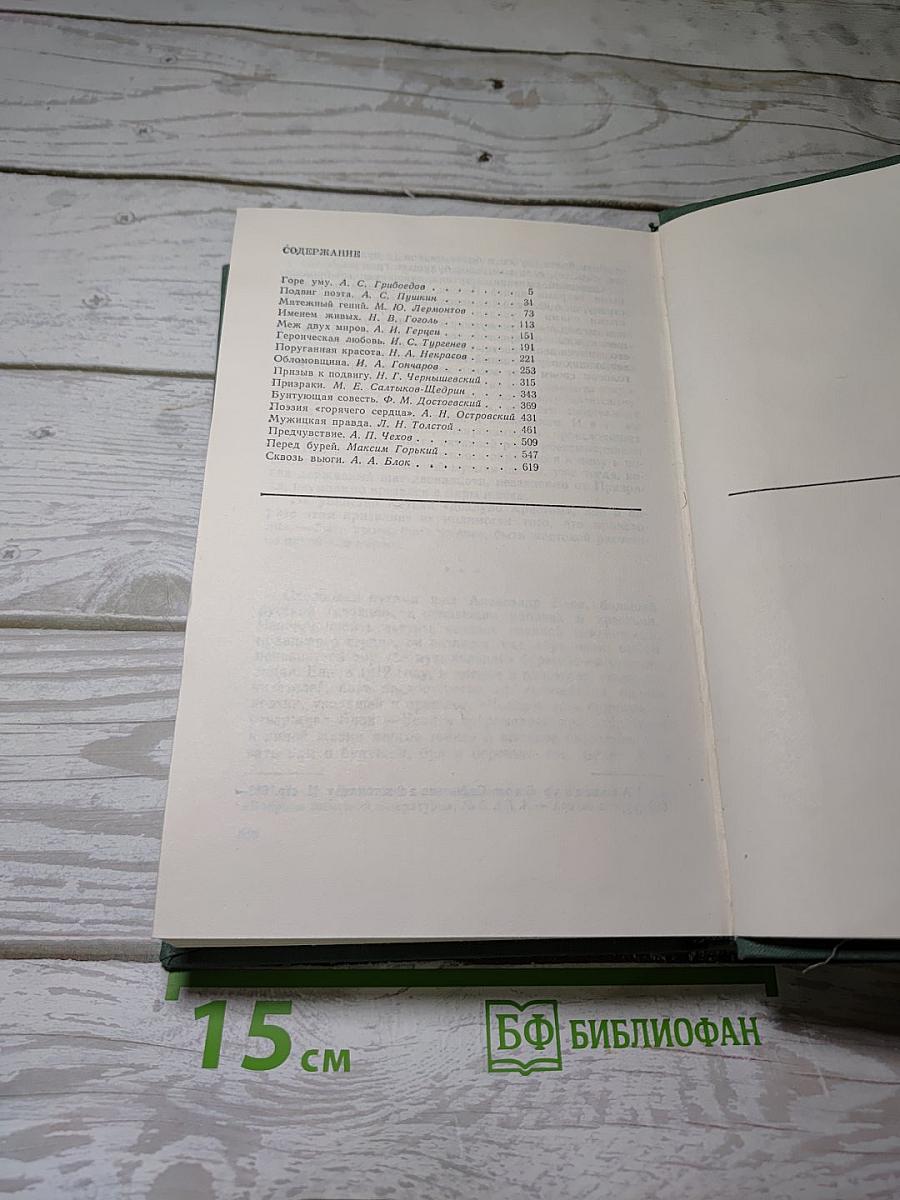 Очерки о русских писателях