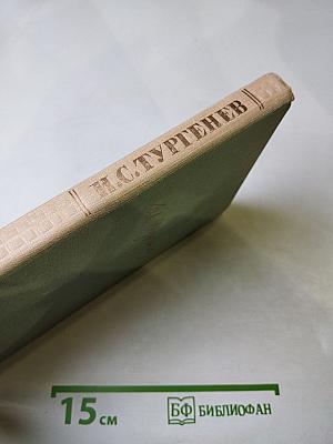 Собрание сочинений. Том второй. Рудин. Дворянское гнездо