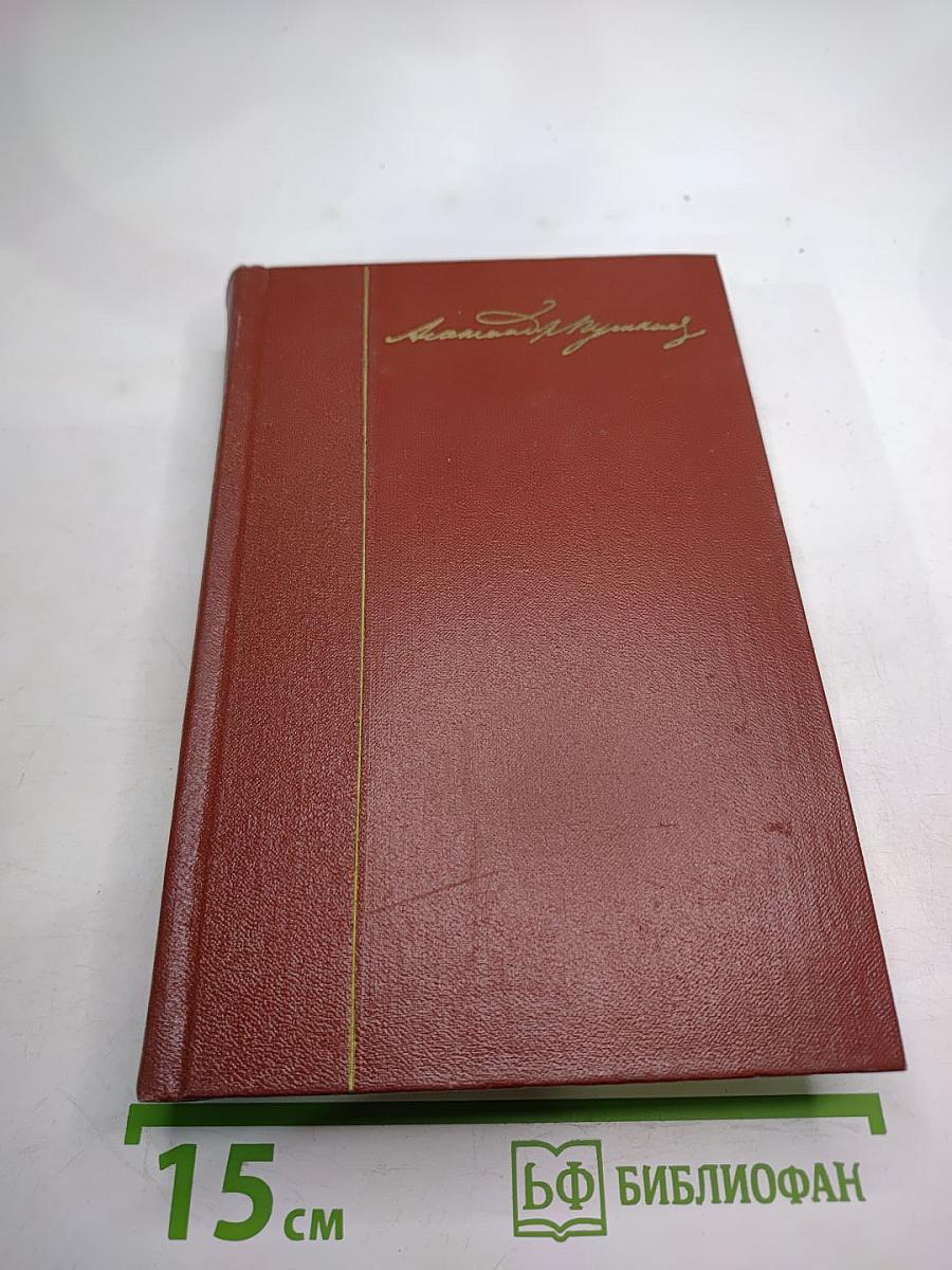 Собрание сочинений. Том шестой. Критика и публицистика