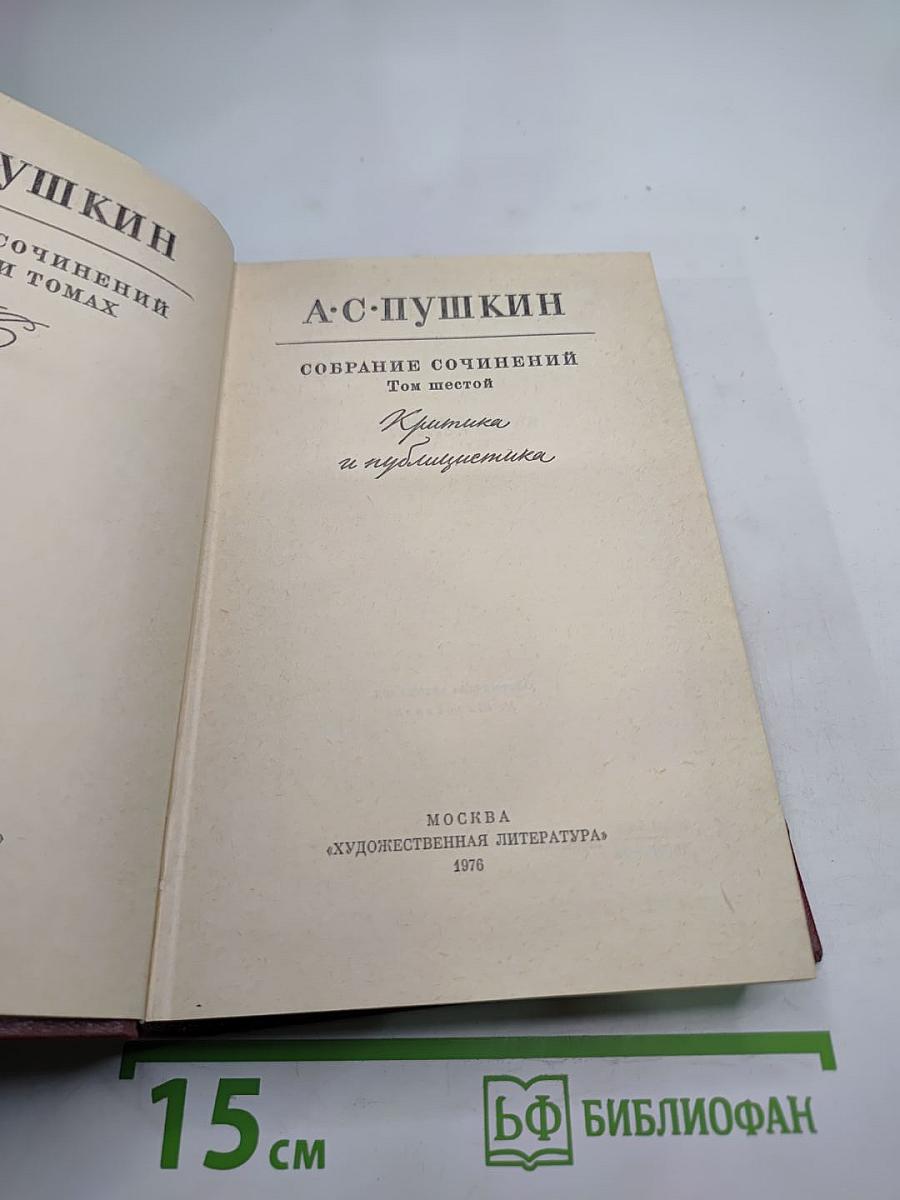 Собрание сочинений. Том шестой. Критика и публицистика