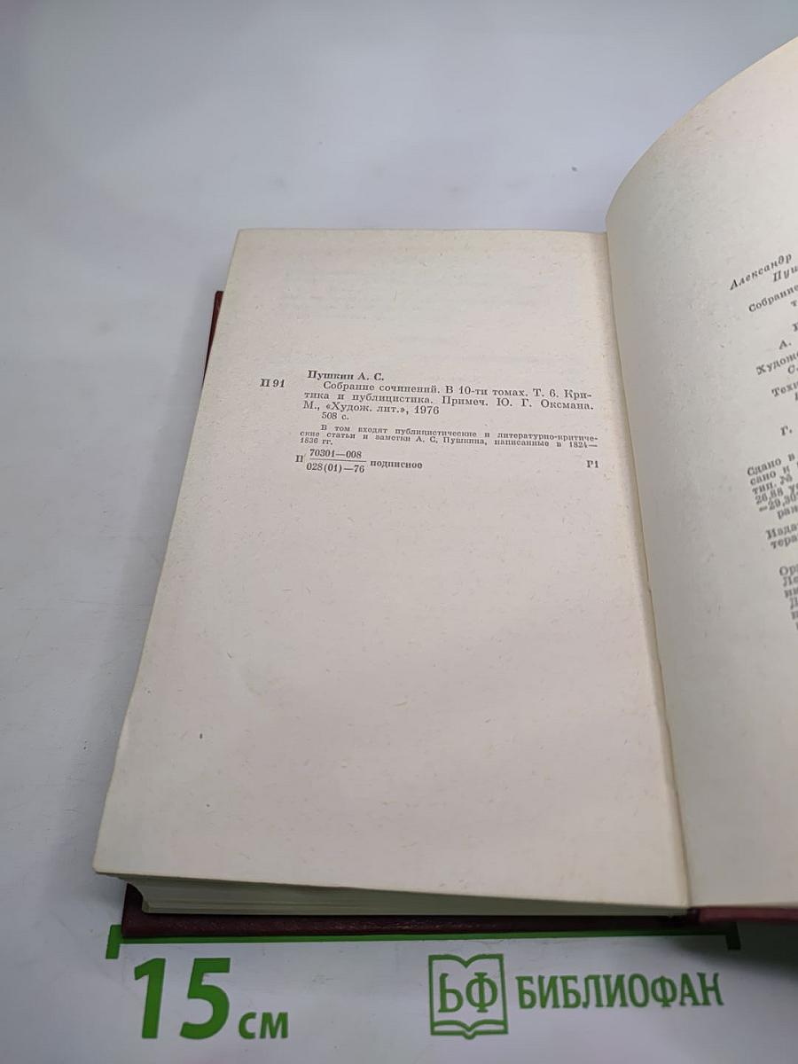 Собрание сочинений. Том шестой. Критика и публицистика