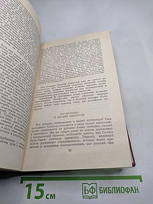 Собрание сочинений. Том шестой. Критика и публицистика