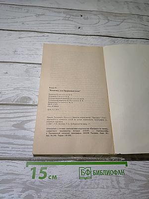 Владимир или Прерванный полет