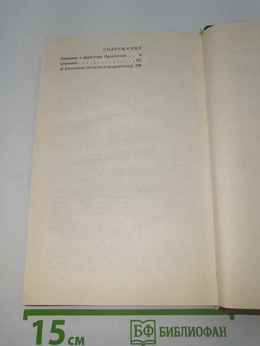 Сказание о директоре Прончатове. Стержень