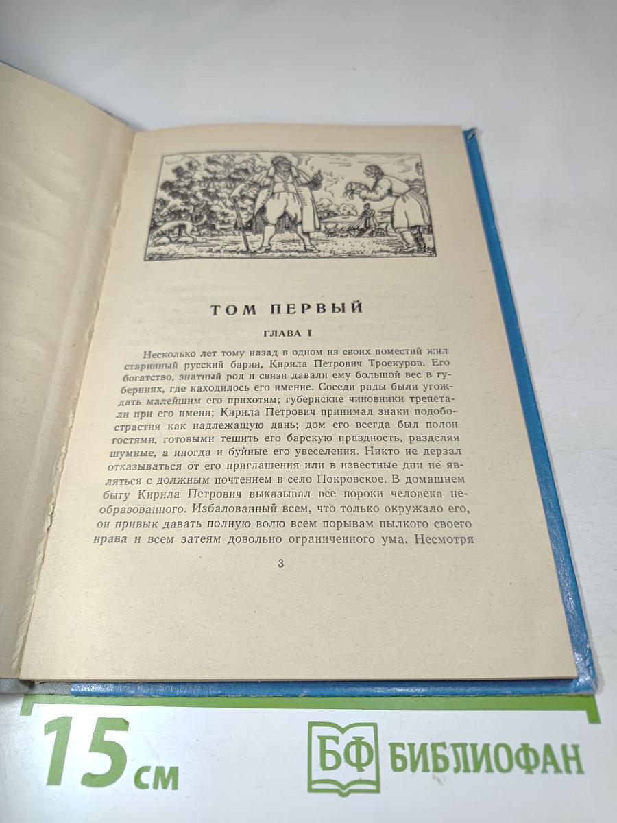 Дубровский (для средней школы)