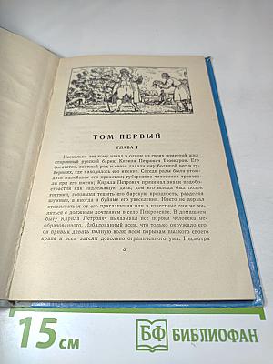 Дубровский (для средней школы)