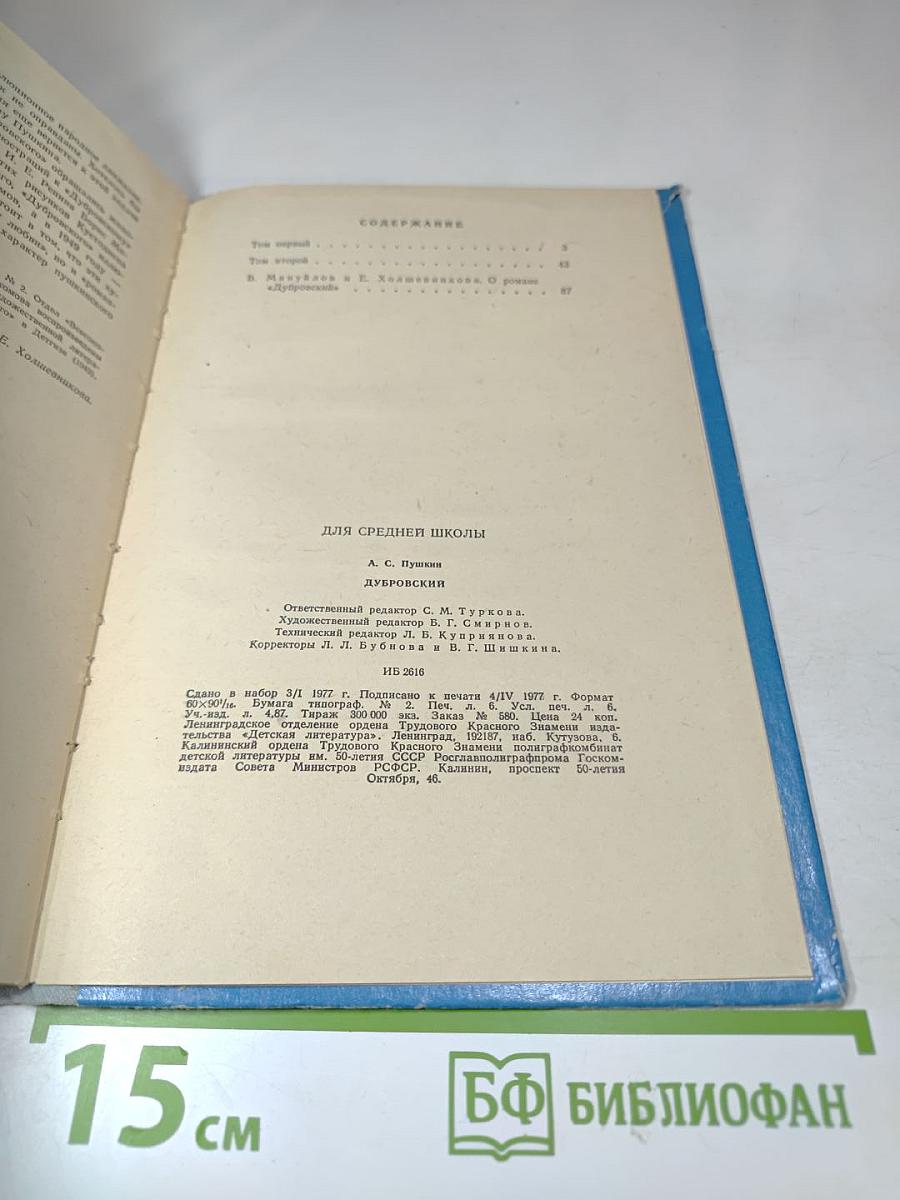 Дубровский (для средней школы)