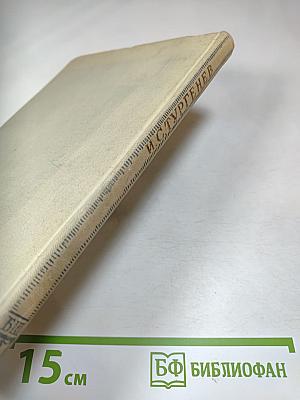 Отцы и дети