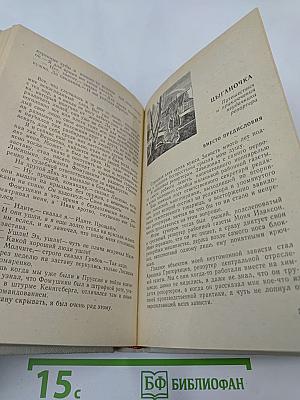 Иллюстрации к биографии