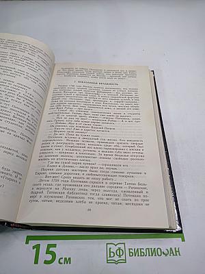 Фаворит. Том I