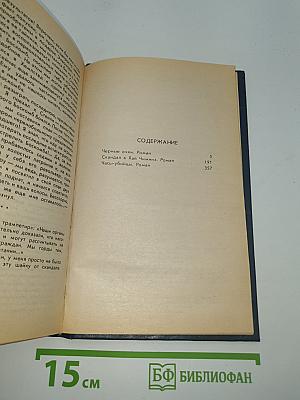 Черные очки. Скандал в Хай-Чимниз. Часы-убийцы