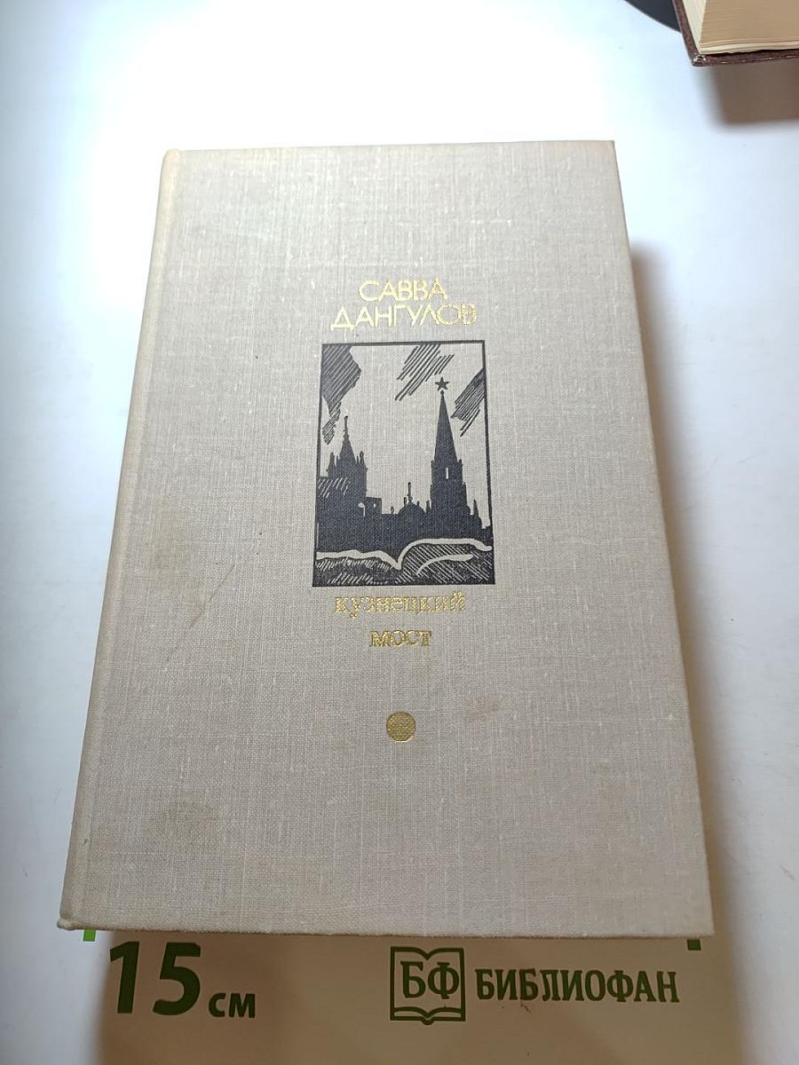 Кузнецкий мост. Книга третья