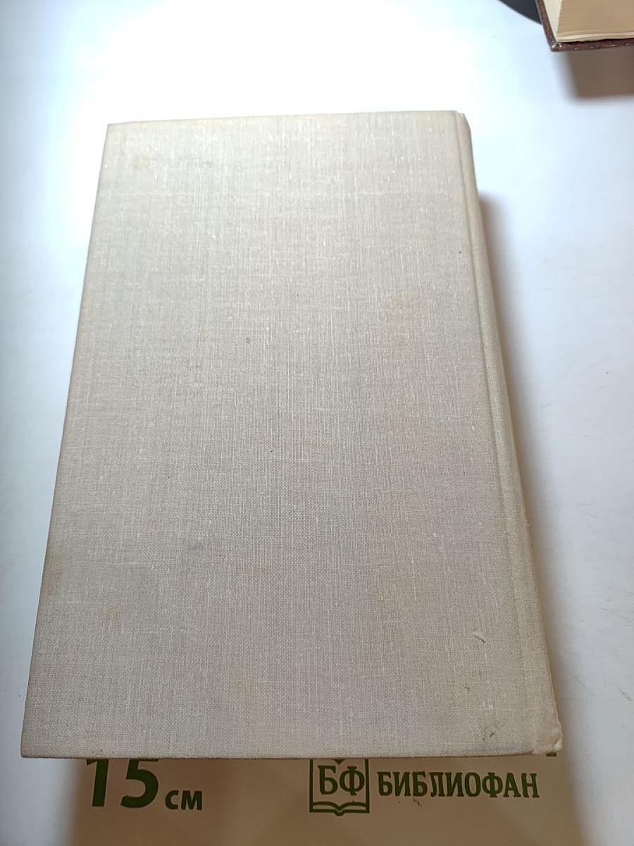 Кузнецкий мост. Книга третья