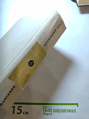 Кузнецкий мост. Книга третья