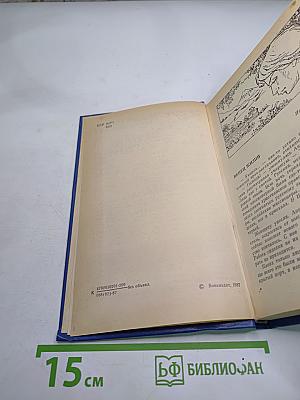 Венец жизни