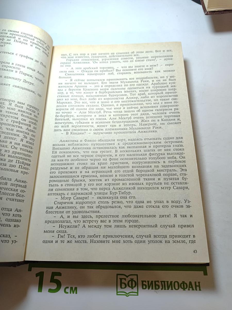 Неукротимая Анжелика