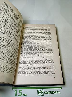 История моего современника. Книги третья и четвертая