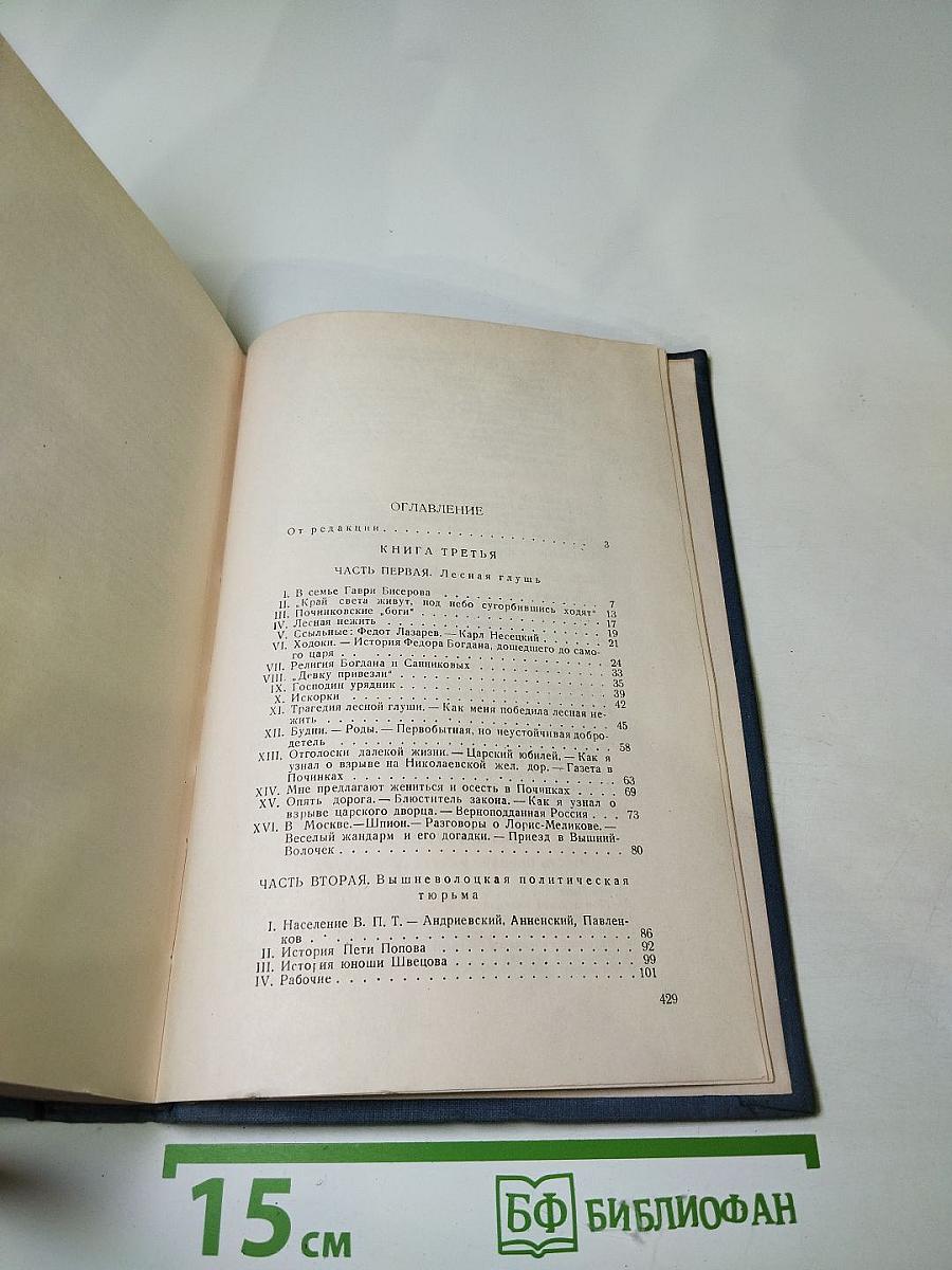 История моего современника. Книги третья и четвертая