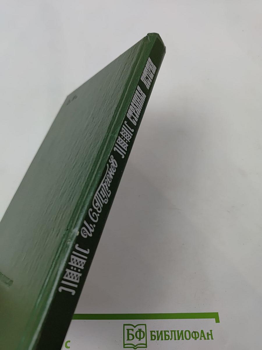 Странная история. Повести, рассказы