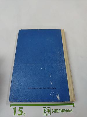 Бородинское пробуждение