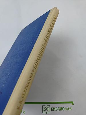 Бородинское пробуждение