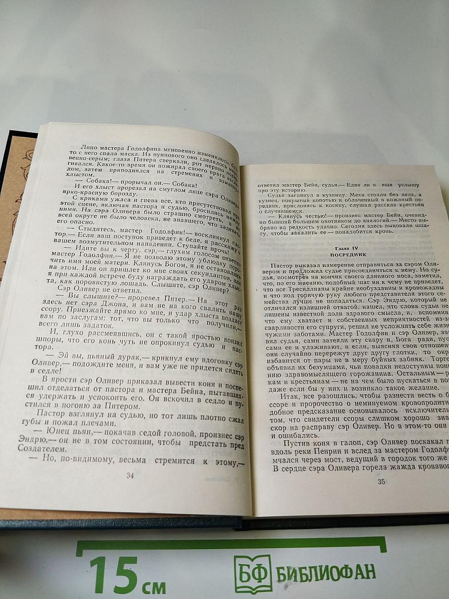 Морской ястреб. Скарамуш