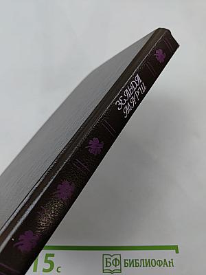 Зельда Марш