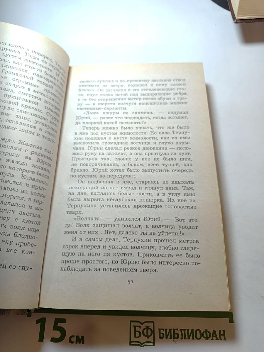 Атаман. Кровь за кровь