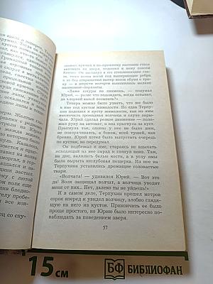 Атаман. Кровь за кровь