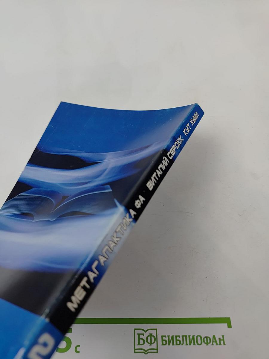 Синтез Огня 2. Мегагалактика ФА. Жизнь и Целеустремленность. Слово Отца