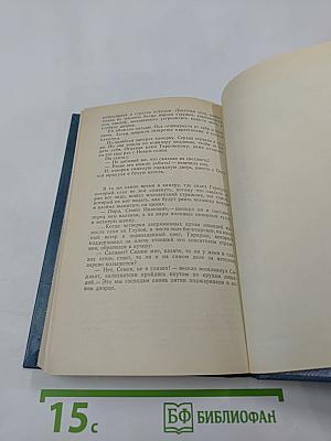 Тайна голубого дворца