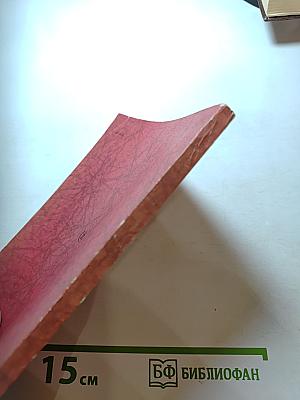 День России