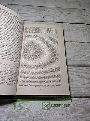 Алексеевский РАВЕЛИН. Книга II