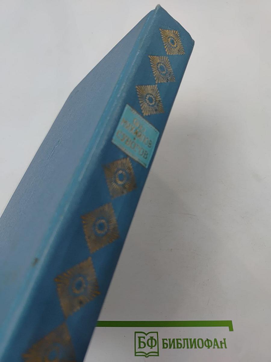 Суворов. Исторический роман