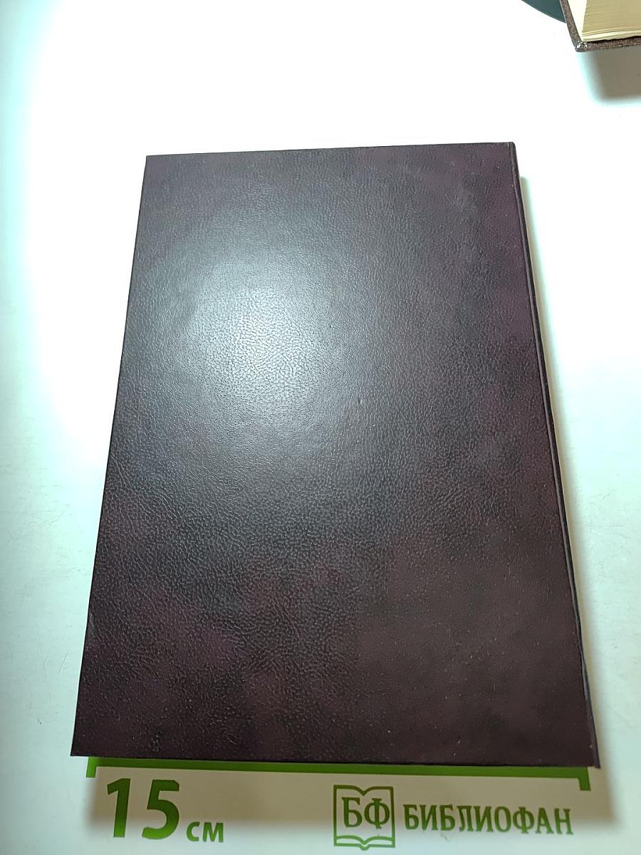 Сотворение человека будущего: Экософские основания. Том 4