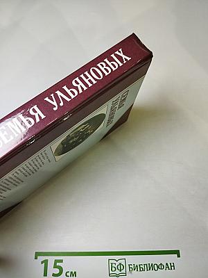 Семья Ульяновых