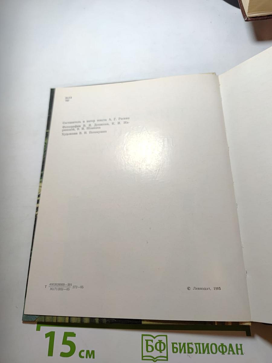 Триумфальные арки Ленинграда