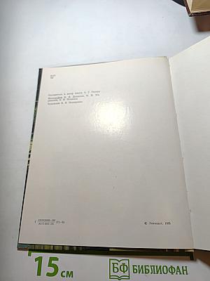 Триумфальные арки Ленинграда