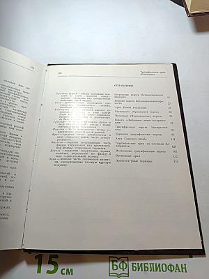 Триумфальные арки Ленинграда