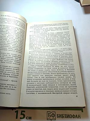 В степи бескрайней за Уралом