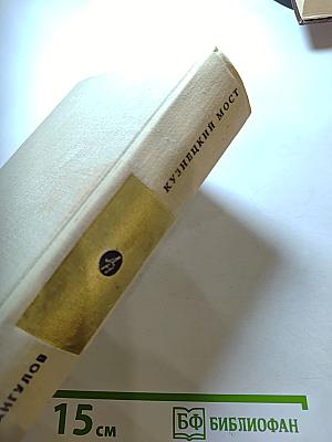 Кузнецкий мост. Книга третья