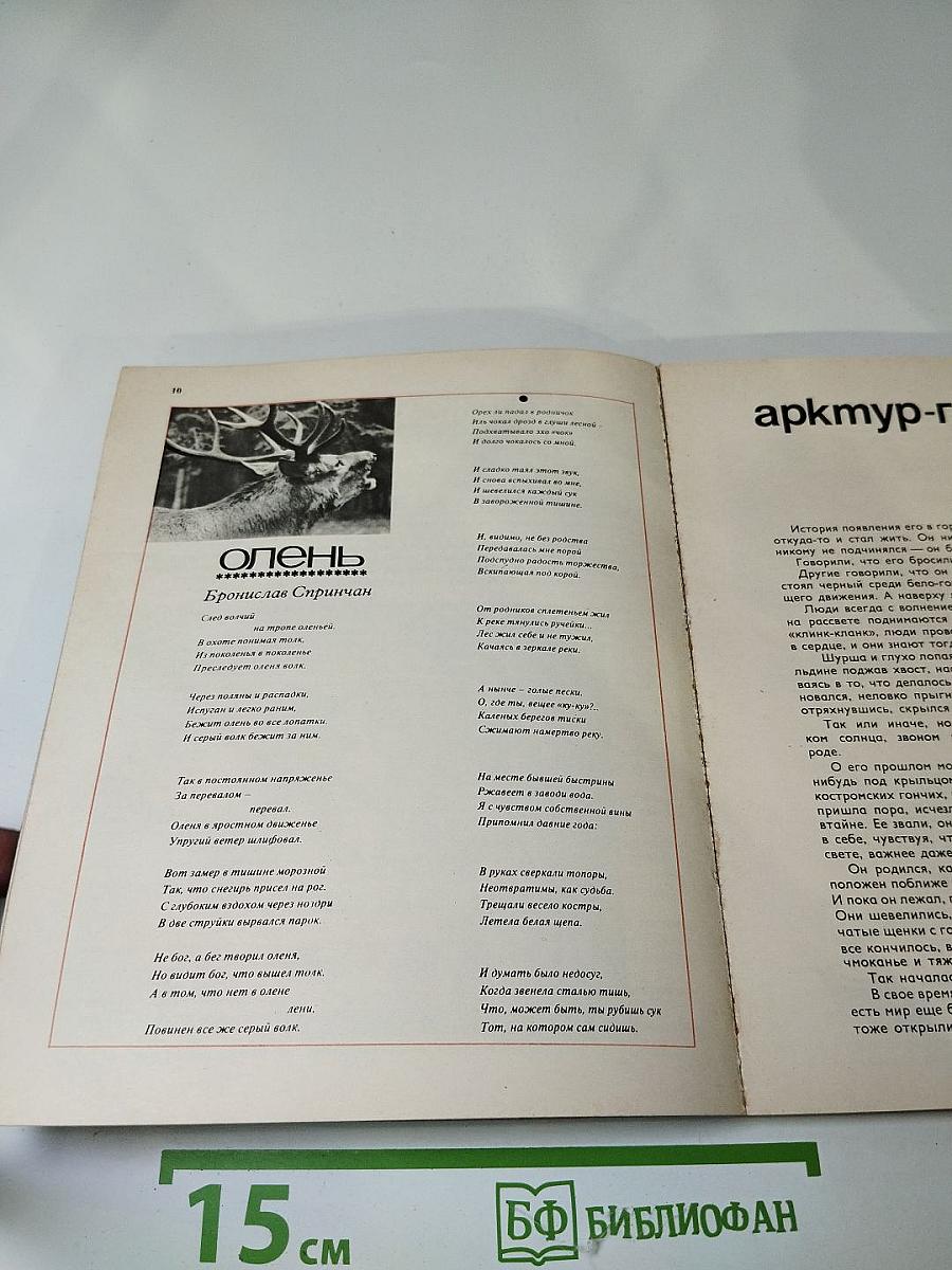 Охотничьи просторы 31. Альманах