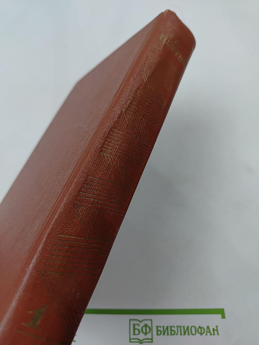 Собрание сочинений. Том первый. Повести и рассказы. Чудаки