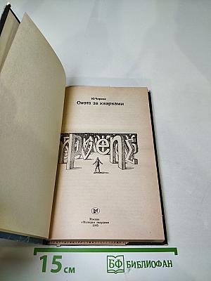 Охота за кварками