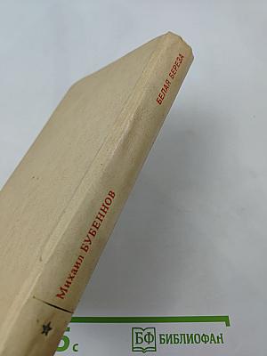 Белая береза