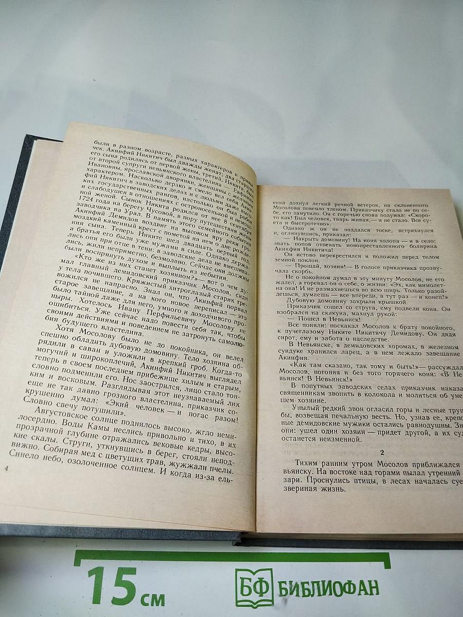 Каменный пояс. Книга вторая. Наследники