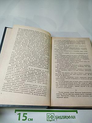 Каменный пояс. Книга вторая. Наследники