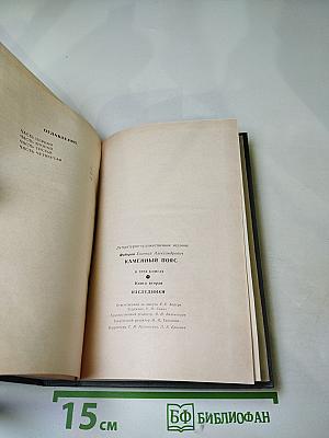 Каменный пояс. Книга вторая. Наследники