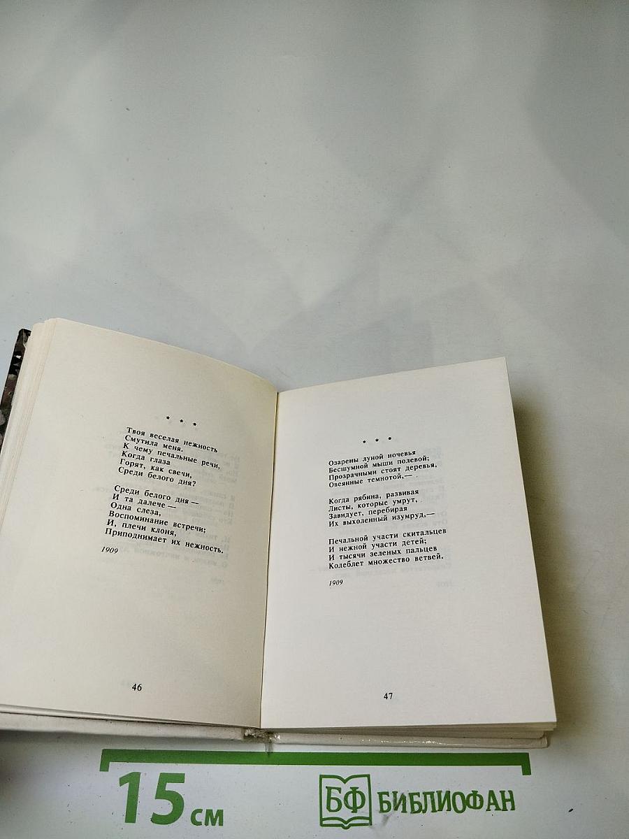 Осип Мандельштам. Автопортрет