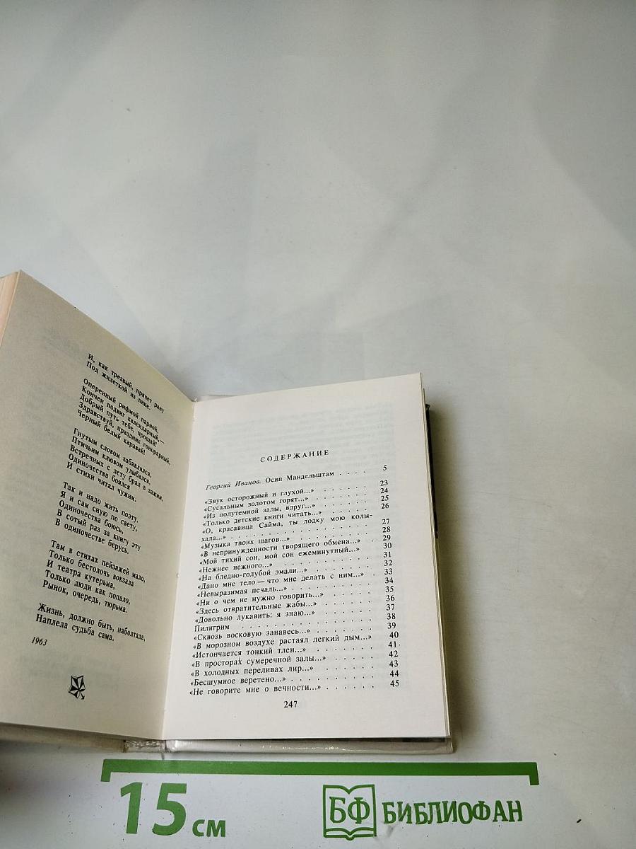 Осип Мандельштам. Автопортрет